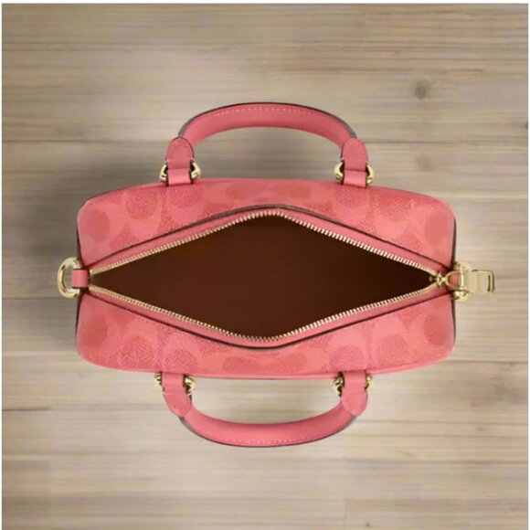 Coach x Peanuts Lucy Satchel Crossbody Bag Pink Canvas Halloween - Picture 10 of 12